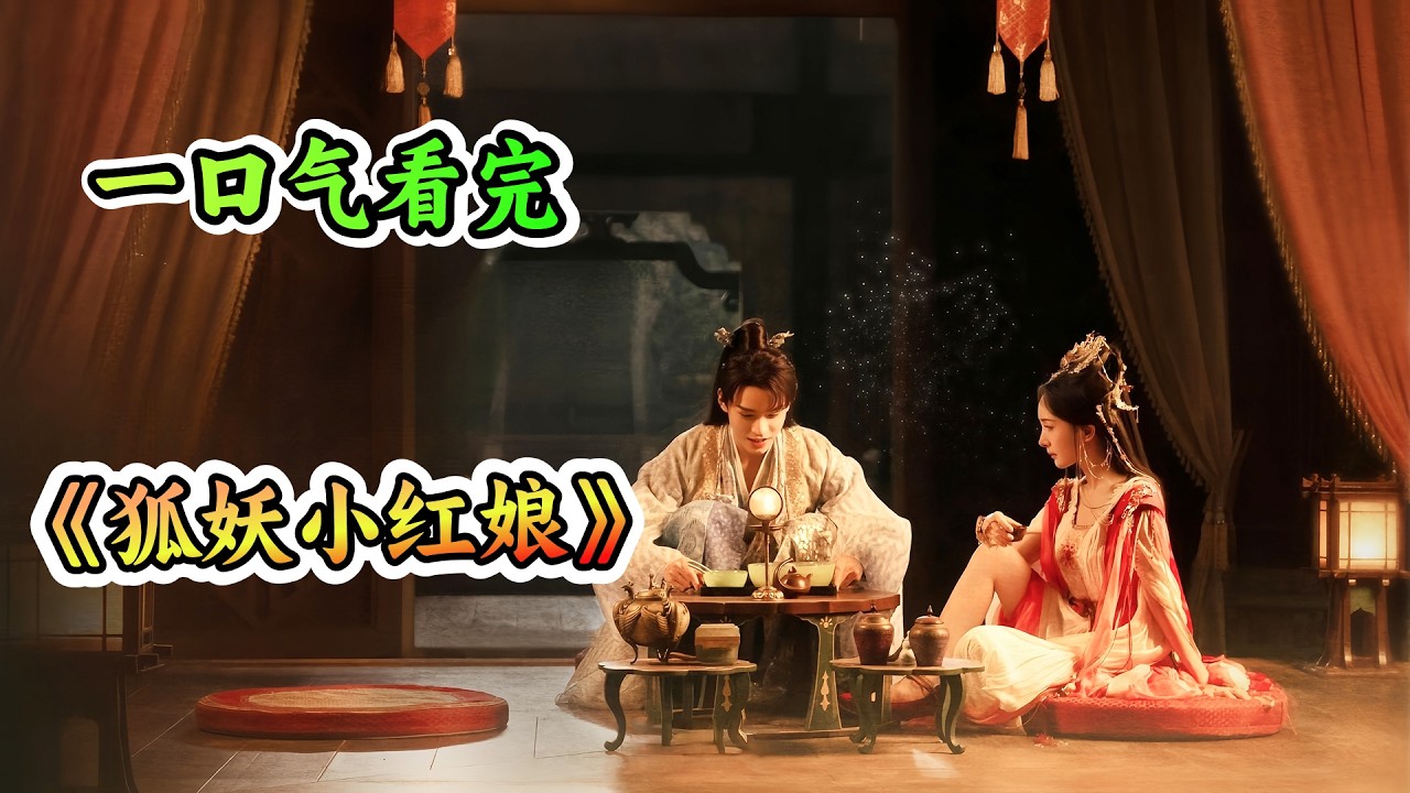 一口气看完最火漫改剧《狐妖小红娘·月红篇》剧情解说；女孩是由苦情树诞育的灵狐，与苦情树同根相连相辅相成！