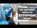 Куриный завод в Польше. Как выглядит работа. #РаботавПольше #куриныйзавод #работанакуриномзаводе