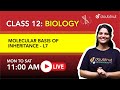 MOLECULAR BASIS OF INHERITANCE|Class12 NCERT Biology 11AM Class By Shivangi Ma'am|L7 English Medium