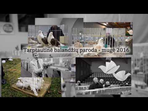 Video: Tarptautinė Paroda-mugė „MEISTRŲ KONSTELVACIJA“