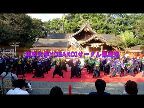 「法政大学YOSAKOIサークル鳳遥恋」2021 秦野元気祭り～秋の陣～2021/10/3（日