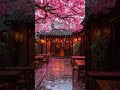 Very Soft Rain Sounds Light #relaxation #rain #rainoundforsleep #nature #sleepsounds #natureasmr