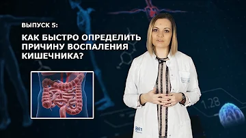 [AlfaMedBlog] 5. Как быстро определить причину воспаления кишечника?