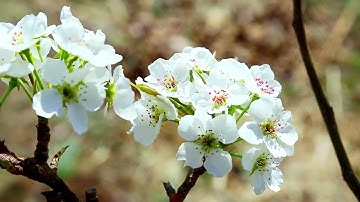 تلاوة سورة نوح || الشيخ عبدالله المنسلح