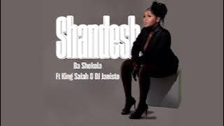Shandesh - Ba Shekela Ft King Salah X DJ Janisto(Unofficial Audio)