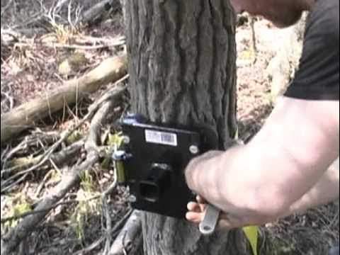 Portable Winch PCA-1269 Tree Mount Winch Anchor With Strap