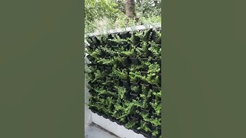 How To Make Vertical Garden || Natural Vertical Garden For Home || Do It Yourself #howtomake #diy