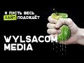 И пусть весь хайп подождёт. Wylsacom media | 360° ВИДЕО