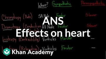 Autonomic nervous system effects on the heart | NCLEX-RN | Khan Academy