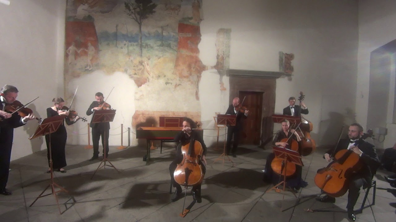 Saint-Saëns: Rondo Capriccioso (fragment). Emil Rovner, 