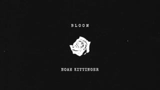 Watch Noah Kittinger Bloom video