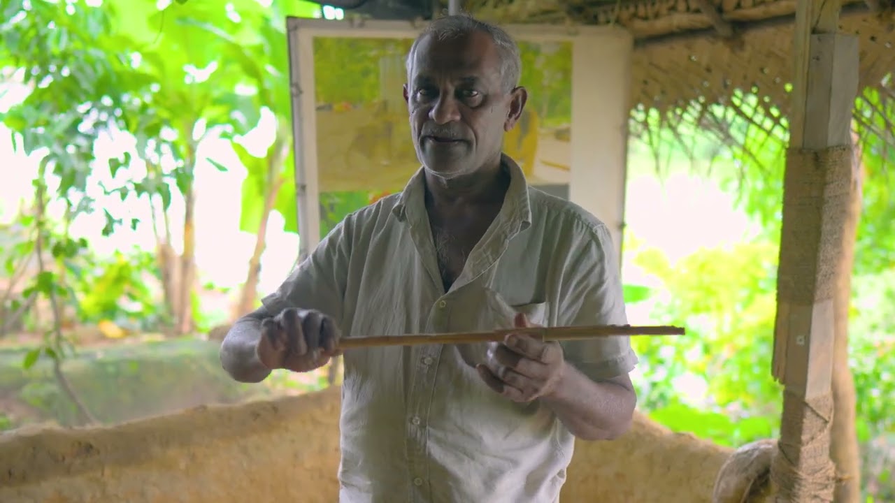 Experience the Purity of Ceylon Cinnamon – Sri Lanka’s Golden Spice! ✨🌿