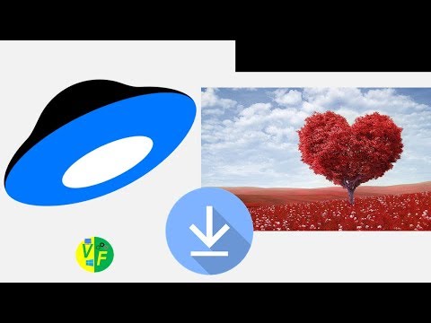 Загрузить все фото с Яндекс.Диска на компьютер