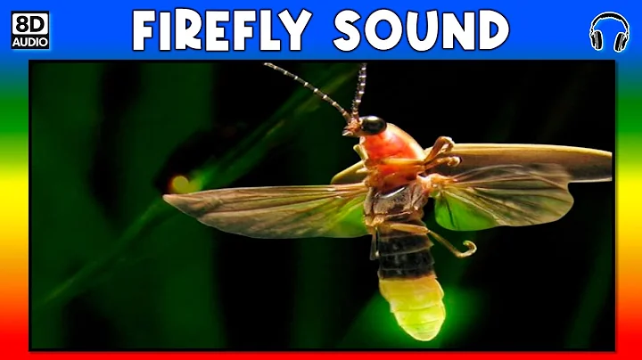 🦗 FIREFLY SOUND - FIREFLY SOUND EFFECT - SOUND OF FIREFLY - NOISE OF FIREFLY