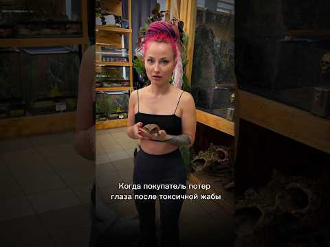 ⚠️Все трюки выполнены профессионалами #питомцы #животные #вмиреживотных