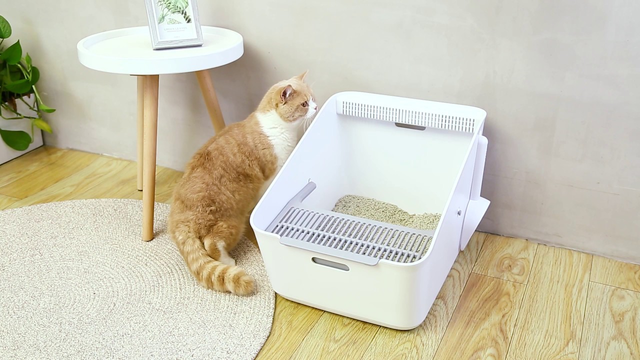 Xiaomi Petkit Smart Purifier