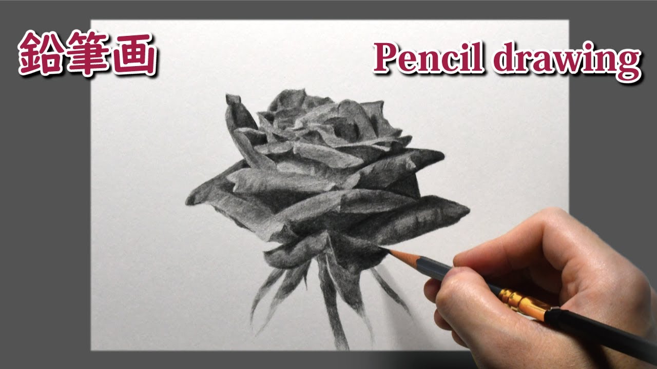 鉛筆画] 1時間50分で描くリアルなバラの花のメイキング | 描き方