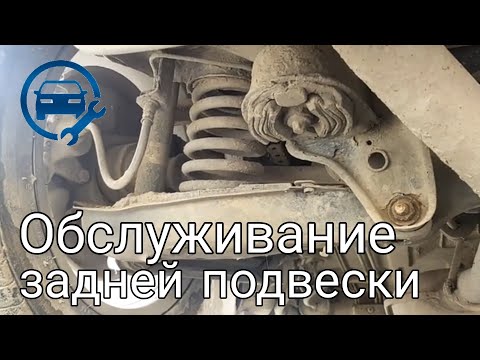 Сколько Ходит Задняя