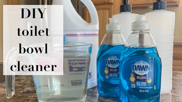 DIY Toilet Bowl Cleaner