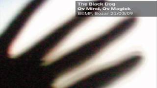 The Black Dog - We Are Haunted (Live)