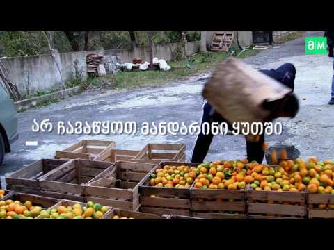 რა პირობებში უნდა შევინახოთ მანდარინი