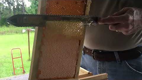 UNCAPPING HONEY USING MANUAL UNCAPPING KNIFE
