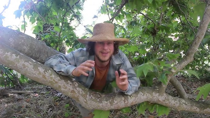 Дискотекадағы жасырын камера, жігіт киска жалайды