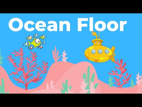 Ocean Floor Features