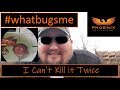 I Can&#39;t Kill it Twice: Pest Control Expectations