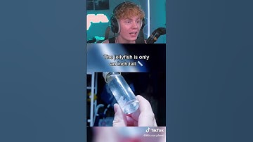 Deep Sea Creatures You Won