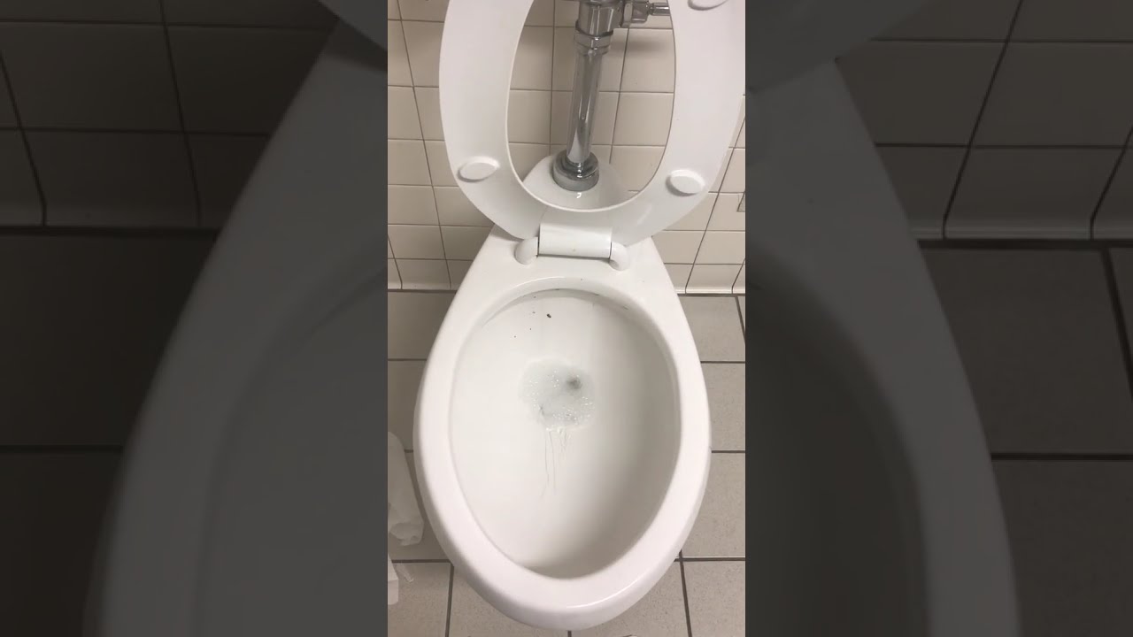 86. Burlington Men’s Restroom YouTube
