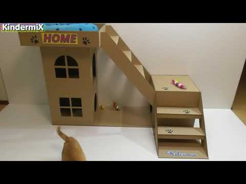 Tự làm nhà cho mèo của bạn từ bìa Carton Part2