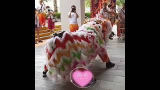 Dragon Dance 2024 At Tsing Yi