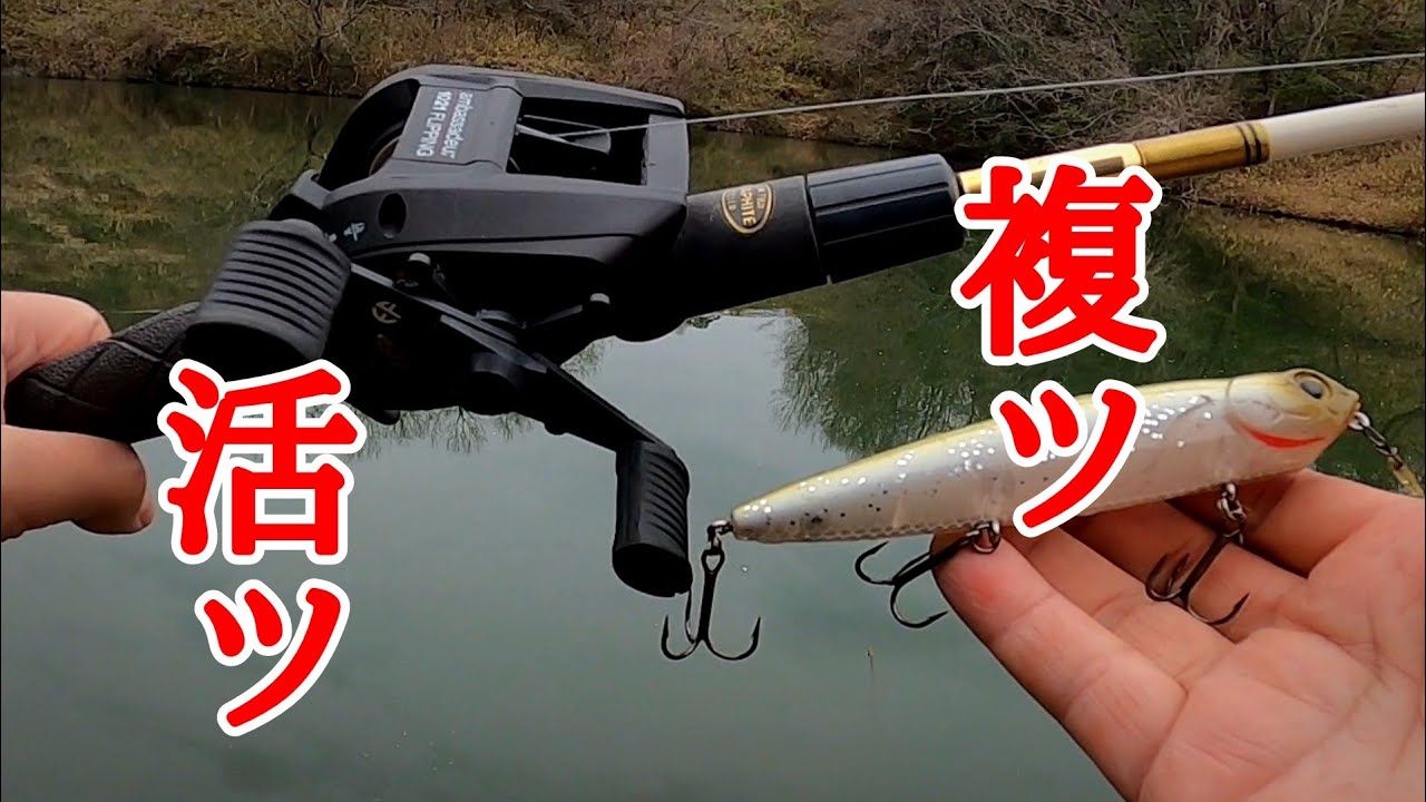 【バス釣り】ヒデ復活ッッ ヒデ復活ッッ ヒデ復活ッッ  アブガルシアアンバサダー1021フリッピング #バス釣り #バスフィッシング #春のバス釣り #春のバスフィッシング #トップウォータ