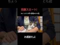 猫の錠剤の飲ませ方#錠剤#飲ませ方#投薬方法#shorts