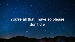 Father John Misty - Please Don&#39;t Die [Lyrics]