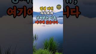 평생 바친 자식에게 상처받는 이유, 여기에 있습니다 #부모의마음 #시니어공감 #가족이야기 #인생지혜 #자식사랑 #노후현실