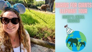 Caring for Giants: Animal Kingdom Behind the Scenes Elephant Tour