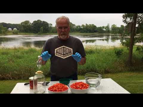 Como tornar-lacto fermentado Carolina Reaper molho parte 1