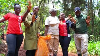 Celebrity JAVA HOUSE - TREE PLANTING AT KARURA Wealth