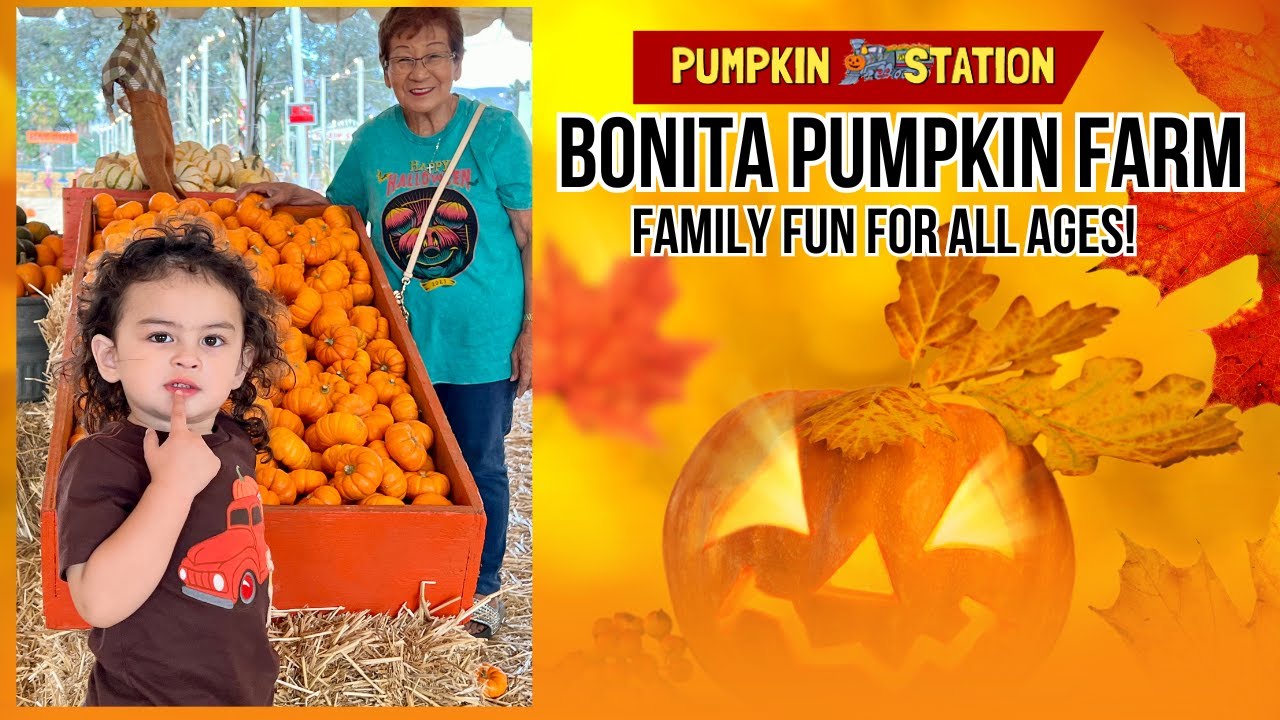 Bonita Pumpkin Farm A FUN and Affordable Fall Family Outing in San