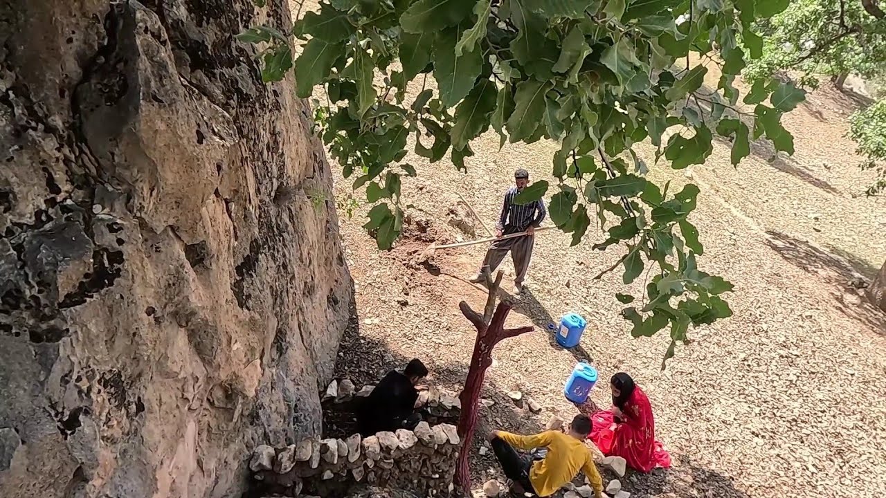 Unexpected Serpent Encounter in a Nomadic Tent