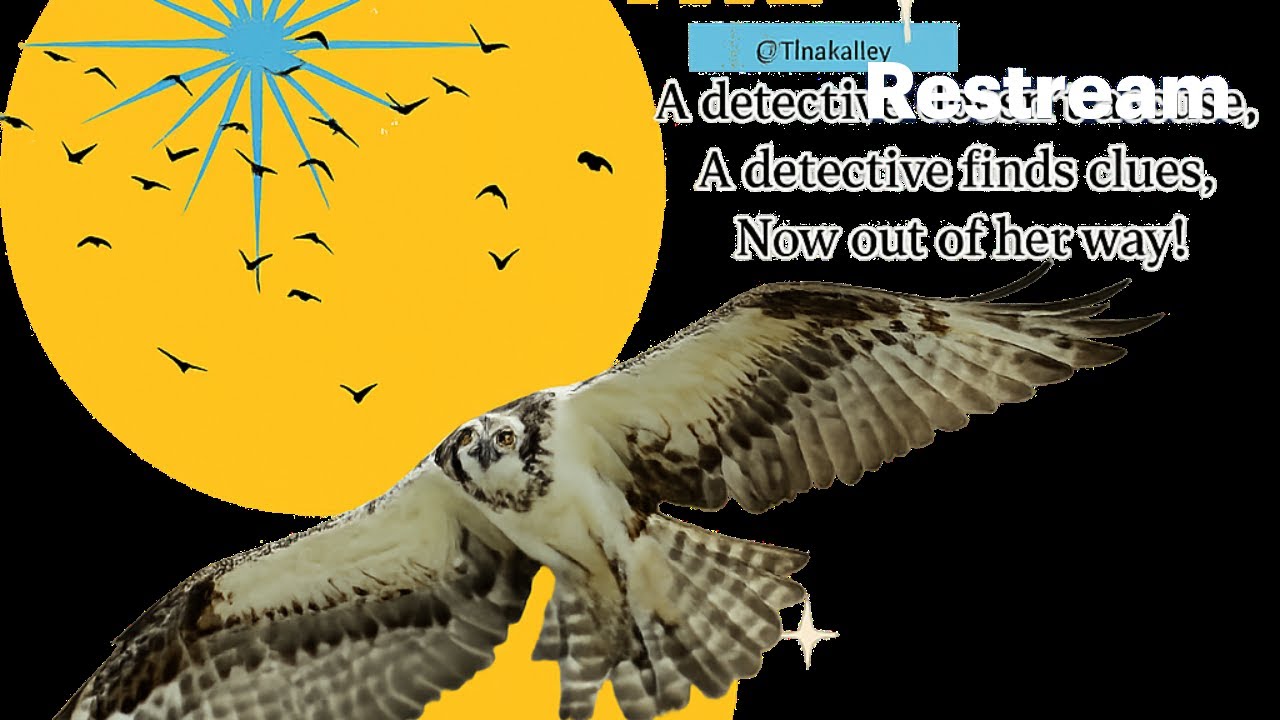 Welcome March During the process of ear stretching