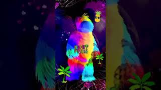 Dancing Sasquatch!
Colourful hairy creature knows how to dance! πͺπ΅π§‘πβ€οΈπ #dancing #party #happy vibes #sasquatch_01jrk57mktg #yeti #bigfoot #colourful #edm #originalmusic #beachparty Check the full video Beach Jam: https://youtu.be/WjDJvrFWCB0?si=vTTSA3P4j71NHaHS Dancing Sasquatch!