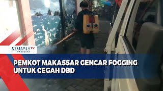 Pemkot Makassar Gencar Fogging Untuk Cegah DBD