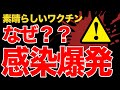 【再アップ】コロナワクチン接種しますよね?|死亡報告と感染爆発