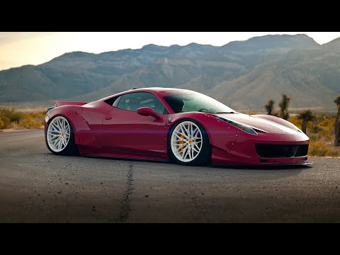 Motus Automotive Importers