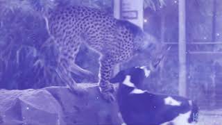 I Dont Know How To Dance Alone