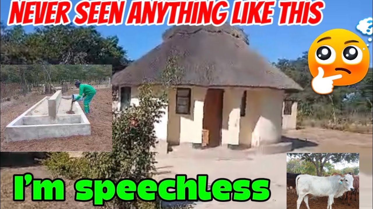 Episode 23: Difficulty To Imagine. Building Our Rural Retirement Homestead In Buhera Zimbabwe.