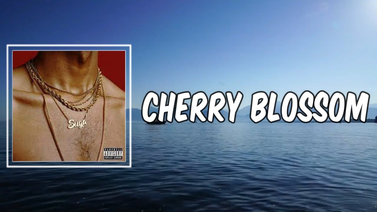 Lyric Cherry Blossom by Kyle Dion YouTube